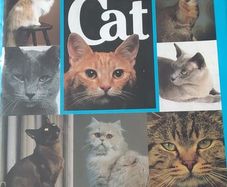 Encyclopedia of the cat