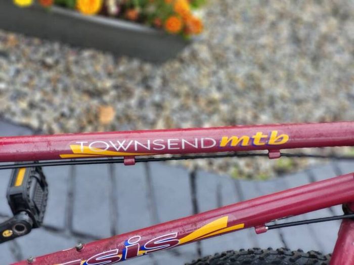 Vintage Townsend Mountain