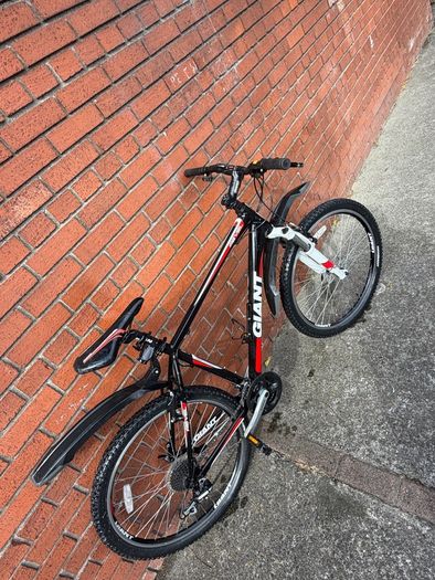 giant mountain bike
