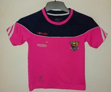 wexford gaa jersey