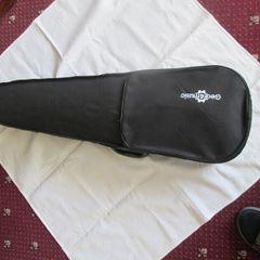 Musical Instrument