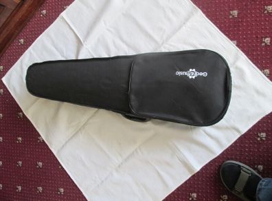 Musical Instrument
