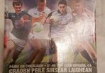 2013 Leinster Quarter Final programme