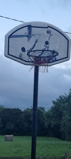 basket ball hoop