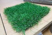 Grass. Quality Artificial Grass