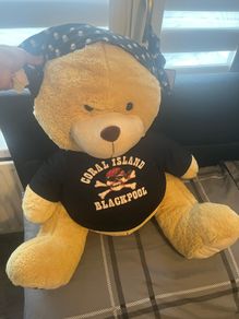 Blackpool Teddy bear
