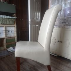 Padded lounge/ dining chair