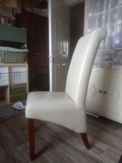 Padded lounge/ dining chair