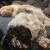 Freya_Kilkenny
