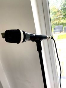 Mic stand and lead