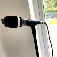 Mic stand and lead