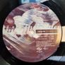 PAUL VAN DYK - Forbidden Fruit! - MSF Records - 12" Single - EPIC PVD Trance Classic from '97! Original GERMAN PRESSING! Image 3