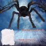 Halloween Giant Spider Decorations 150cm Halloween Decorations Outdoor Halloween Large Spider with Halloween Spider Web (60g) Giant Halloween Spider for Halloween Image 2