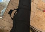 bass case