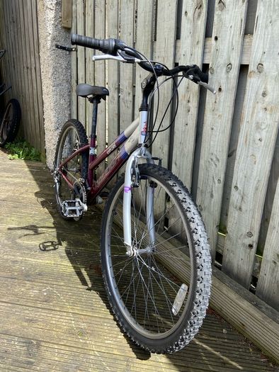 Raleigh Bike