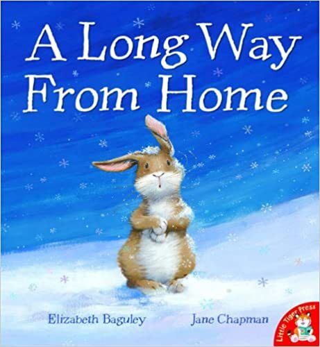 Christmas Picture book New