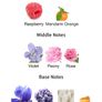 Bienaime La Vie en Fleurs 10ml DECANT Image 2