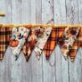Autumn Bunting / Mini Bunting Image 4