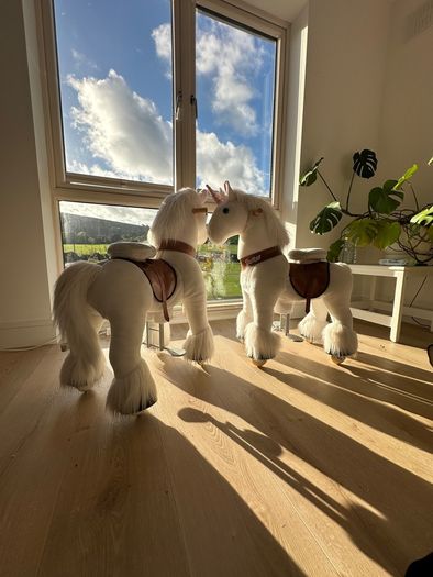 2 Unicorn riding ponies