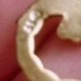 gold pendent Image 2