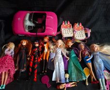 Frozen Anna Elsa Dolls, Ladybug, Rena Rouge, Barbie Dolls, Car and accessories, Christmas Birthday