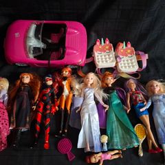 Frozen Anna Elsa Dolls, Ladybug, Rena Rouge, Barbie Dolls, Car and accessories, Christmas Birthday