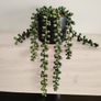 Green Artificial Trailing Plant in black pot - Next Image 3