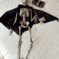 Spooky Hanging Halloween Skeleton Decoration with Light-Up Eyes