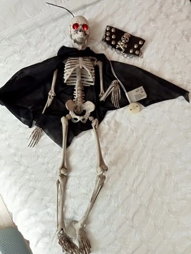 Spooky Hanging Halloween Skeleton Decoration with Light-Up Eyes