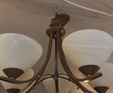 5  & 3 Branch Light Fitting