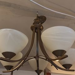 5  & 3 Branch Light Fitting