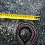 lifting chain Image 10