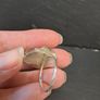 Rough Citrine Ring Image 7