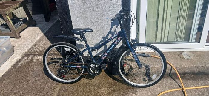 Apollo Kinx 24"