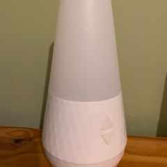 Electric Diffuser