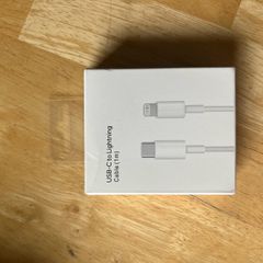 iphone charger