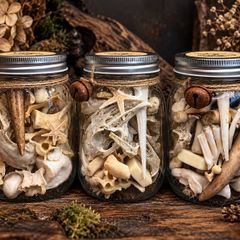 Oddities Bone Jars Curiosity Osteology Display