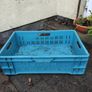 plastic crates 1 blue  few grey small and big Image 2