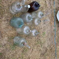 wine making demi johns