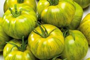 (T) Tomato Smarald seeds 0.2g (111145)
