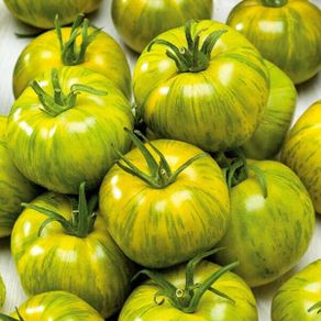 (T) Tomato Smarald seeds 0.2g (111145)