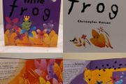Little Frog Hardback Story Book