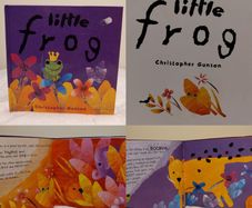 Little Frog Hardback Story Book