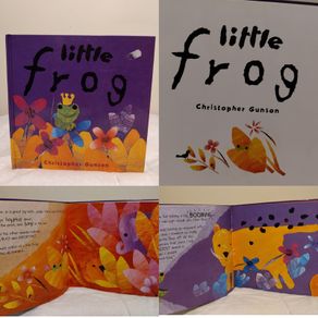 Little Frog Hardback Story Book