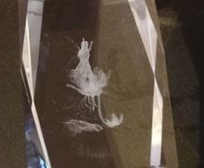 Large Glass Paperweight
