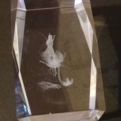Large Glass Paperweight