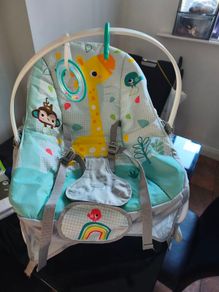 baby bouncher