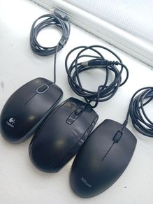 mice