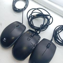 mice