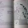 Rivers of Ireland A flyfisher's guide Irish angling fishing Image 6